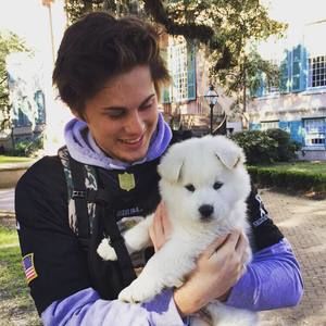 Meet your Posher, Josh